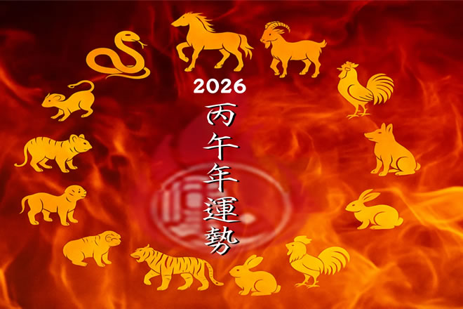 2026丙午馬年生肖運勢全解析：誰是天選黑馬？誰需穩中求勝？